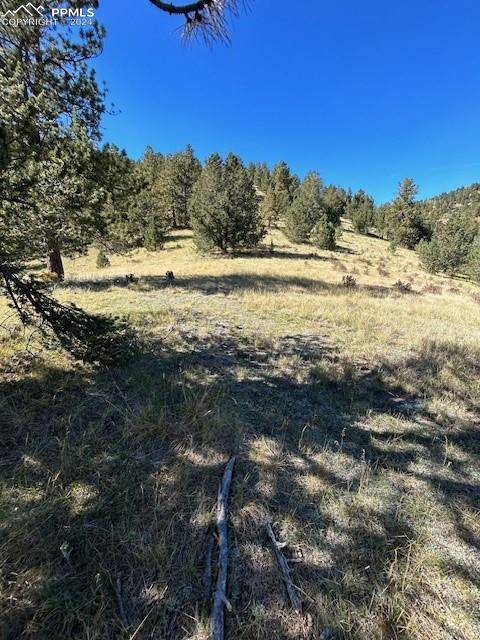 Victor, CO 80860,County Road 8