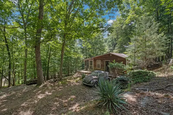 Blue Ridge, GA 30513,376 Mountain Top Drive