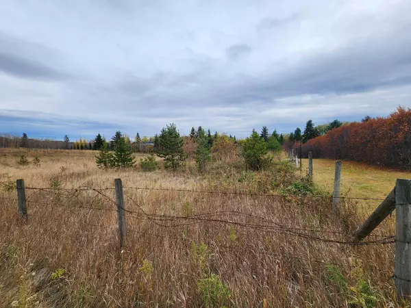 Rural Red Deer County, AB T4E 1A5,Lot 23, 26553 11 HWY