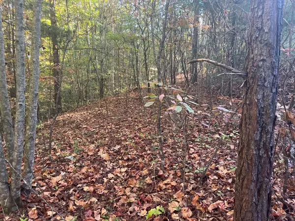 Murphy, NC 28906,Lot 23 Trailblazer Way