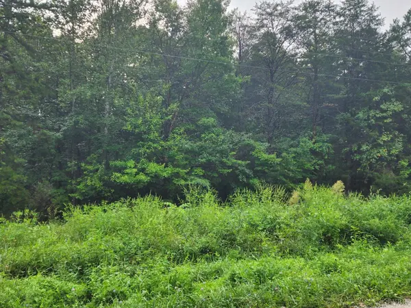 Spout Spring, VA 24593,0 Double Bridges RD