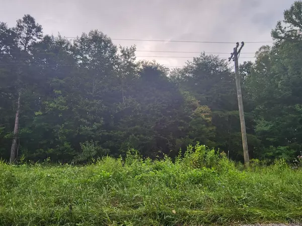 Spout Spring, VA 24593,0 Double Bridges RD