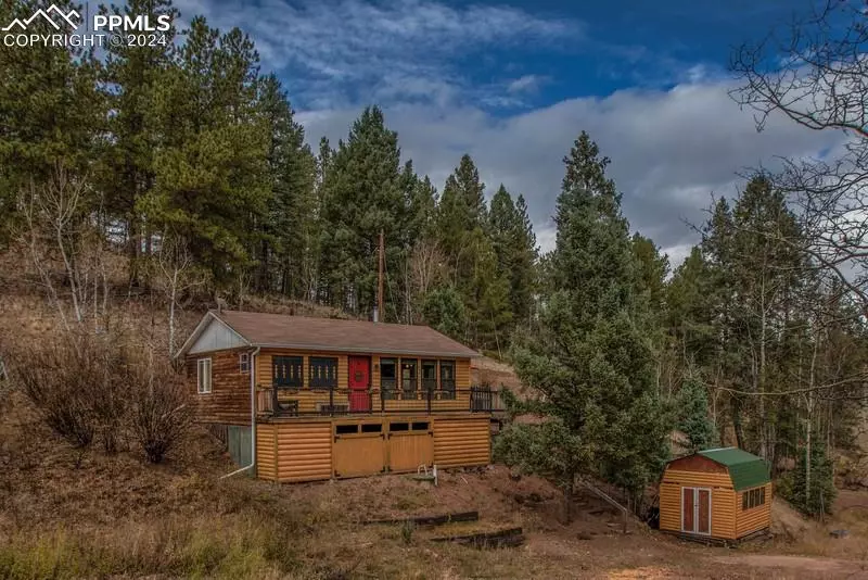 361 Willow RD, Divide, CO 80814