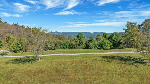 TBD Mayito Lane, Mouth Of Wilson, VA 24363