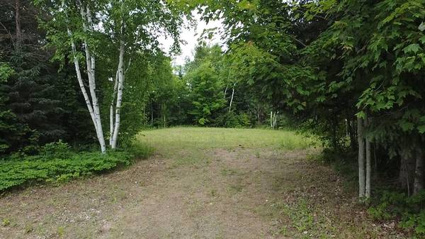 12491 Highway 41 N/A, Addington Highlands, ON K0H 2G0