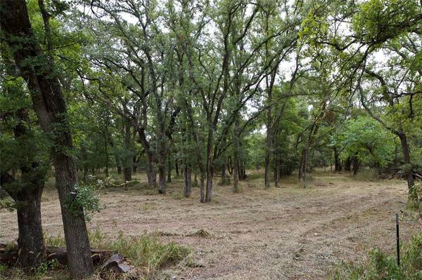 Weatherford, TX 76088,TBD Garner Adell rd