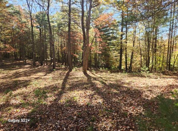 4.9 ac Pridemore Rd, Galax, VA 24333