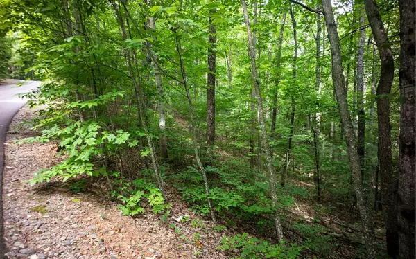 Ellijay, GA 30540,Lot 18 Dover Highlands Trail