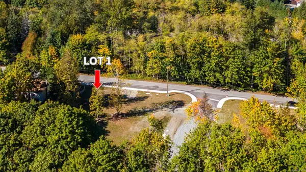 Lot 1 ELK Rd,  Lake Cowichan,  BC V0R 2G1