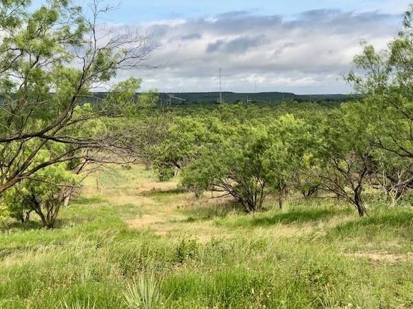 Albany, TX 76430,172 FM 601