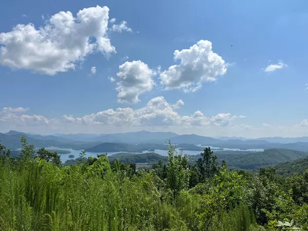 Hayesville, NC 28904,Lot 14 Bell Lake View