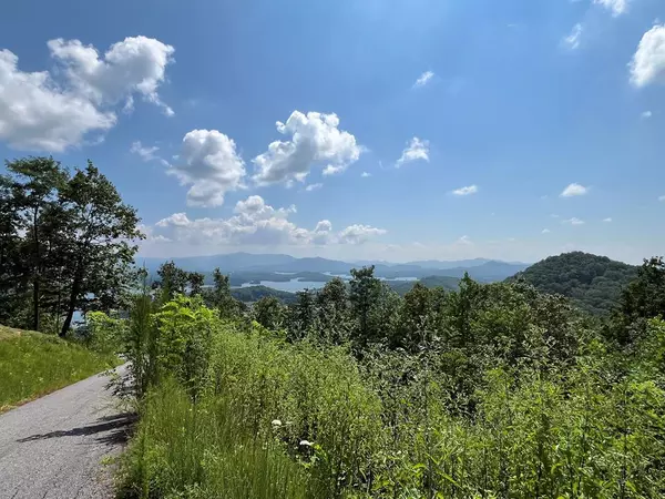 Hayesville, NC 28904,Lot 14 Bell Lake View