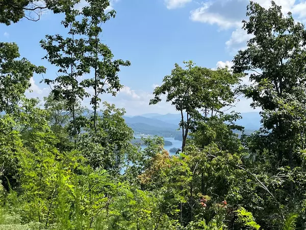 Hayesville, NC 28904,Lot 14 Bell Lake View