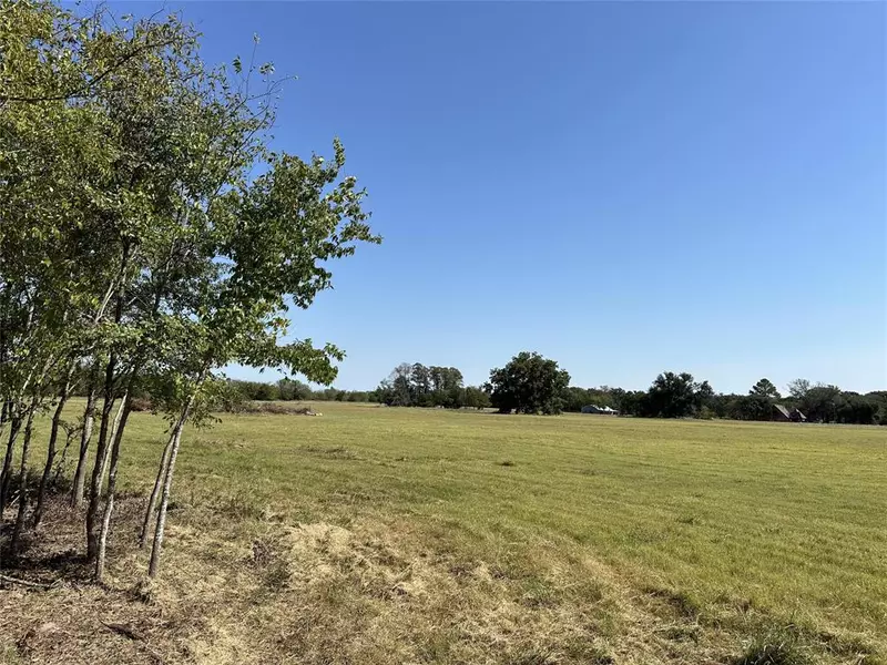 TBD Lot 3 County Road 111, Kaufman, TX 75142