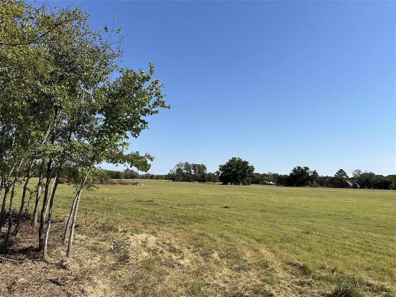 TBD Lot 3 County Road 111, Kaufman, TX 75142