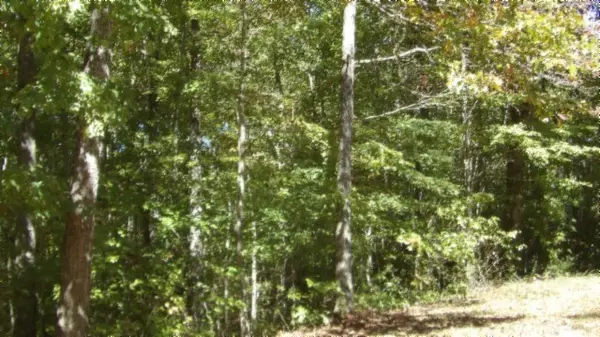 Sparta, TN 38583,Lot 23 Riverwatch Trace