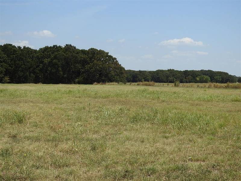 1116 County Road 2235, Ivanhoe, TX 75447