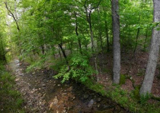 118 Hidden Pines Loop #Lot11, Broken Bow, OK 74728