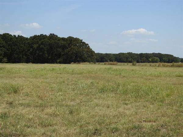 1116 County Road 2235,  Ivanhoe,  TX 75447