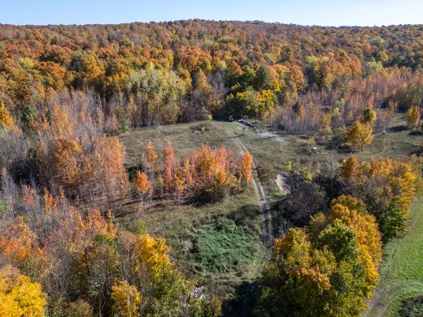 Grey County, ON N0H 2V0,602446 Sideroad 8 N/A