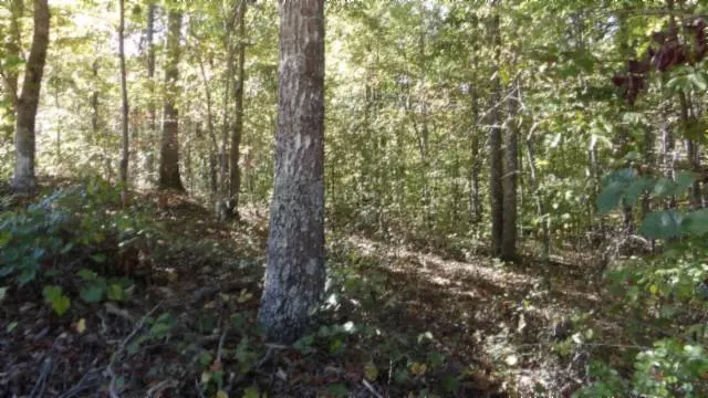 Sparta, TN 38583,Lot 23 Riverwatch Trace