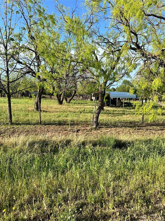 Ovalo, TX 79541,TBD CR 247