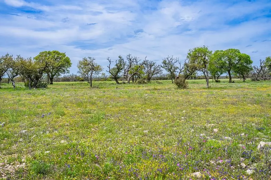 Lot 18 -- Goose Landing WAY, Harper, TX 78631