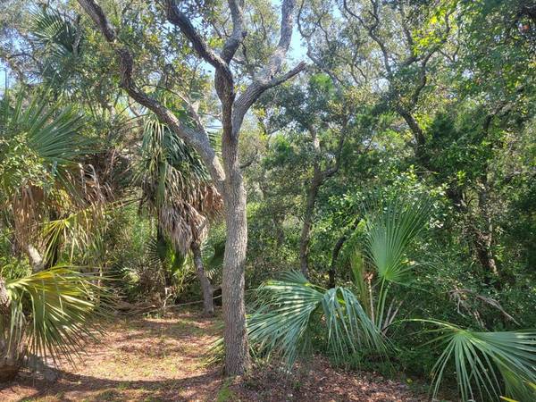 457 E Gulf Beach Dr, St. George Island, FL 32328