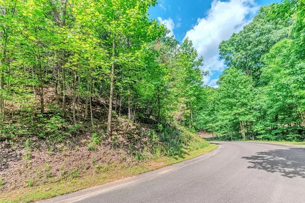 Lot 36 Abbott Mill Road, Ellijay, GA 30540