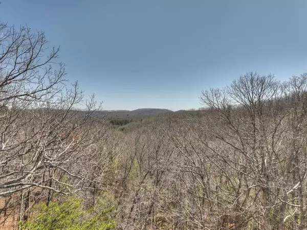 33 & 34 Fannin Overlook, Union, GA 20512