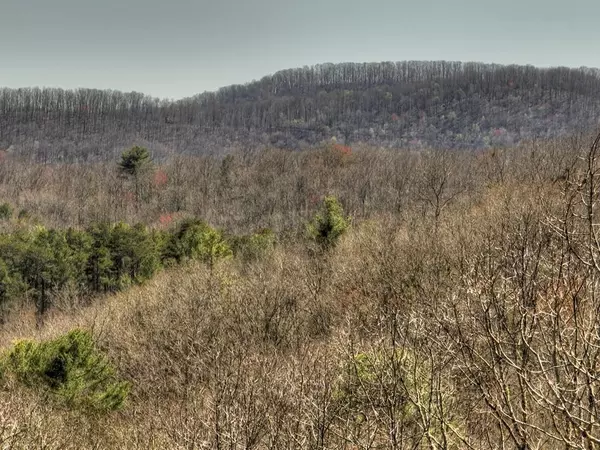 Union, GA 20512,33 & 34 Fannin Overlook