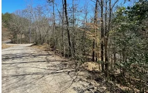 Warne, NC 28909,Lot 6 Willow Ridge