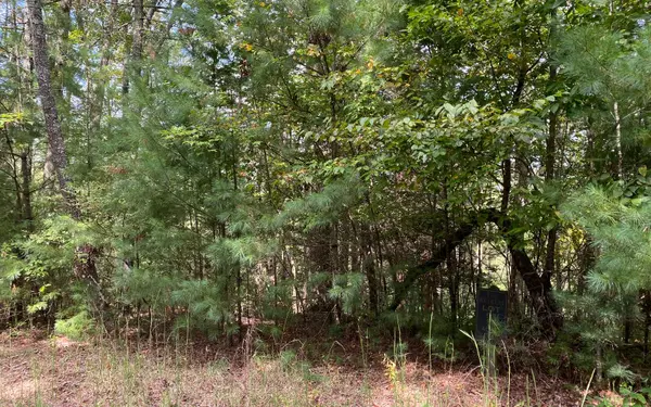 Suches, GA 30572,Lot 58 Gobblers Knob