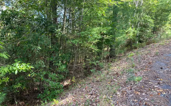 Suches, GA 30572,Lot 58 Gobblers Knob