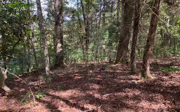 Suches, GA 30572,Lot 58 Gobblers Knob