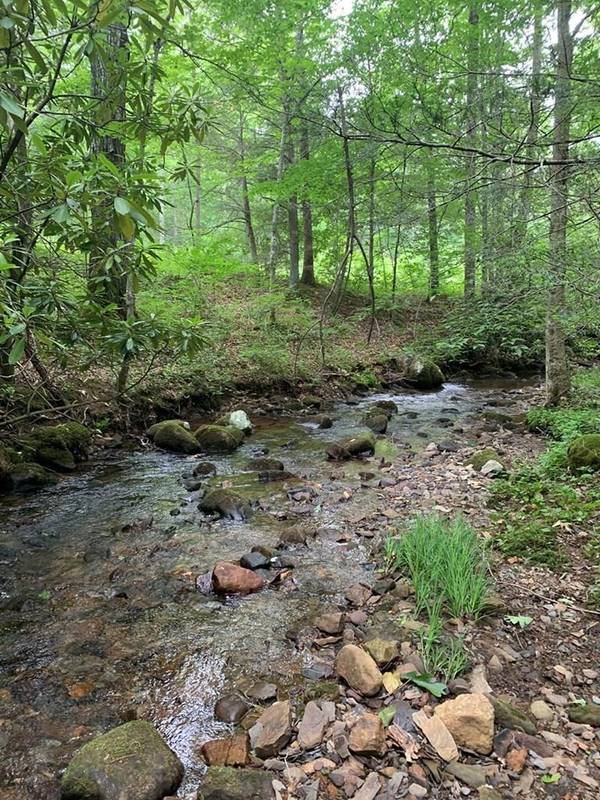 Dry Fork Road, Rocky Gap, VA 23005