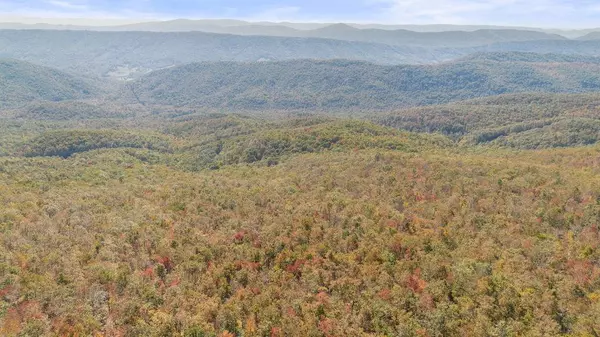 LOT 13A Oneida Peak Rd, Tazewell, VA 24651