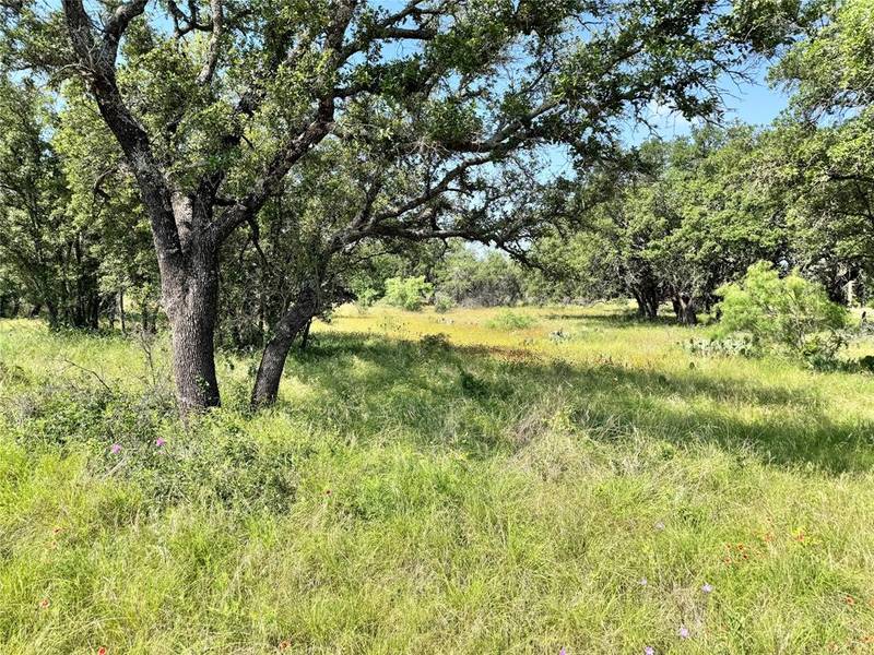 TBD Lot 667 Lanyard Way, Brownwood, TX 76801