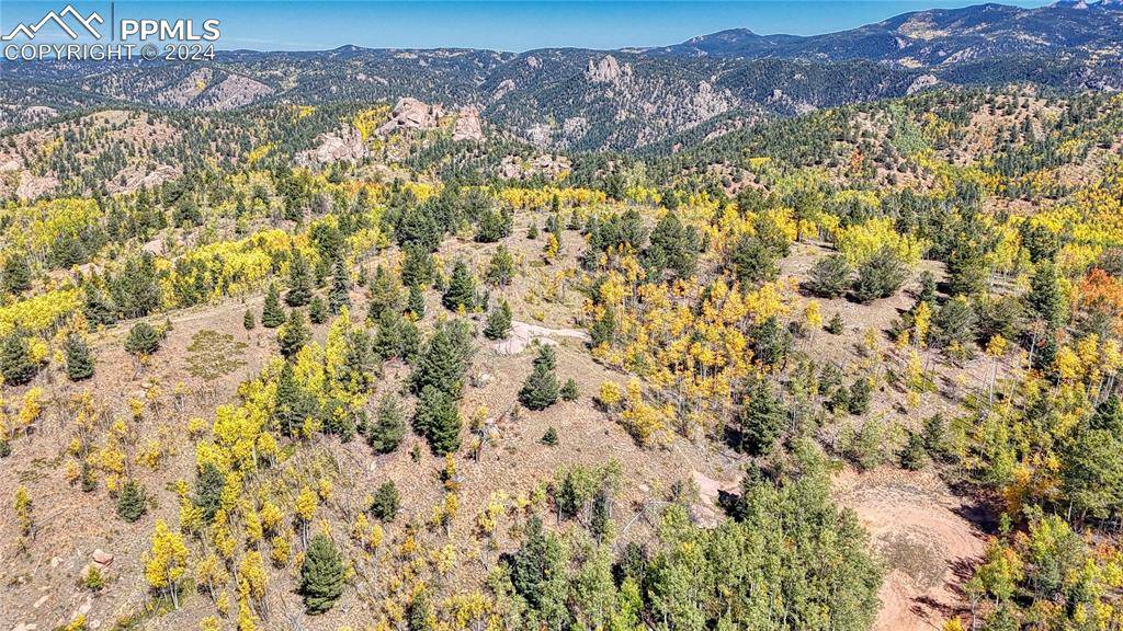 Cripple Creek, CO 80813,288 Wildhorse RD
