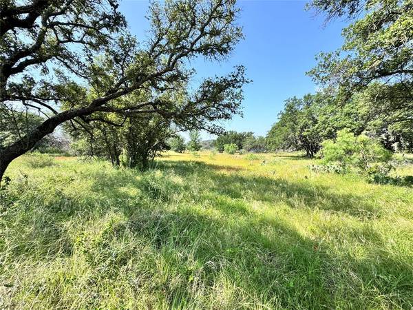 Brownwood, TX 76801,TBD Lot 667 Lanyard Way