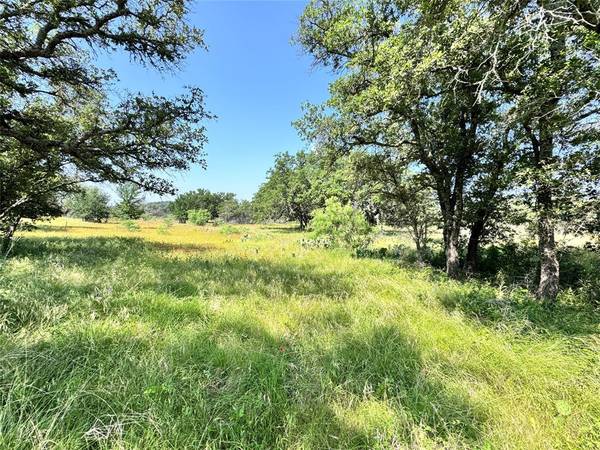 Brownwood, TX 76801,TBD Lot 667 Lanyard Way