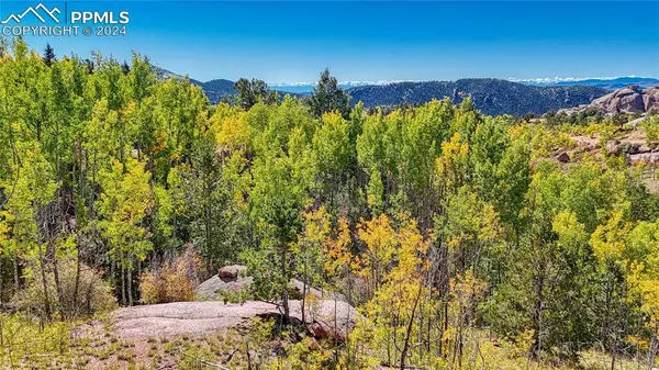 288 Wildhorse RD,  Cripple Creek,  CO 80813