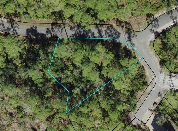 136 Marshmallow Ln  # Lot 483, St. Teresa, FL 32358