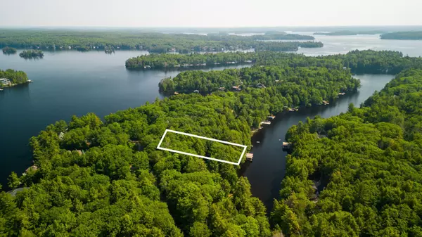 Muskoka Lakes, ON P0C 1M0,0 Ashforth DR