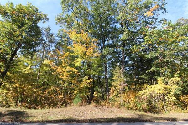 Lambton Shores, ON N0M 1T0,LOT 86 PINETREE DR