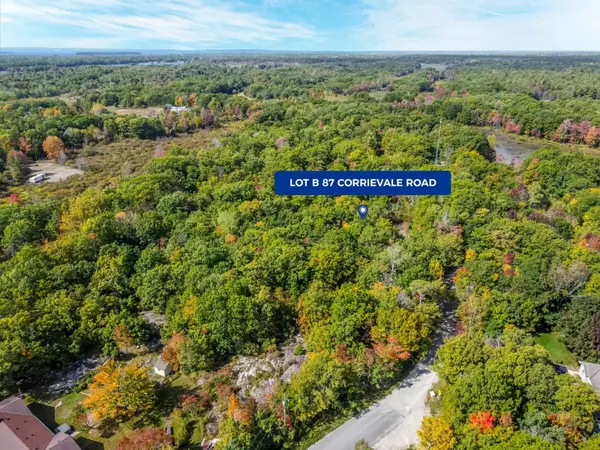 Georgian Bay, ON L0K 1S0,87 CORRIEVALE LOT B RD