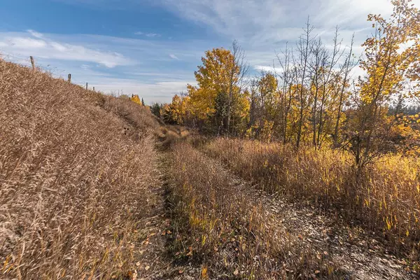 Rural Red Deer County, AB T4G0M9,RR12TWP361 RR12 Range