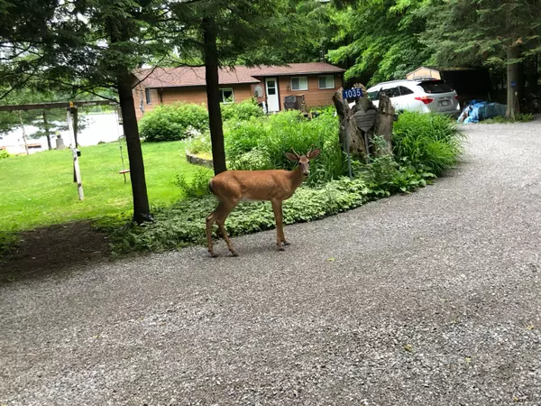 Haliburton, ON K0M 2K0,1035 Cricket TRL