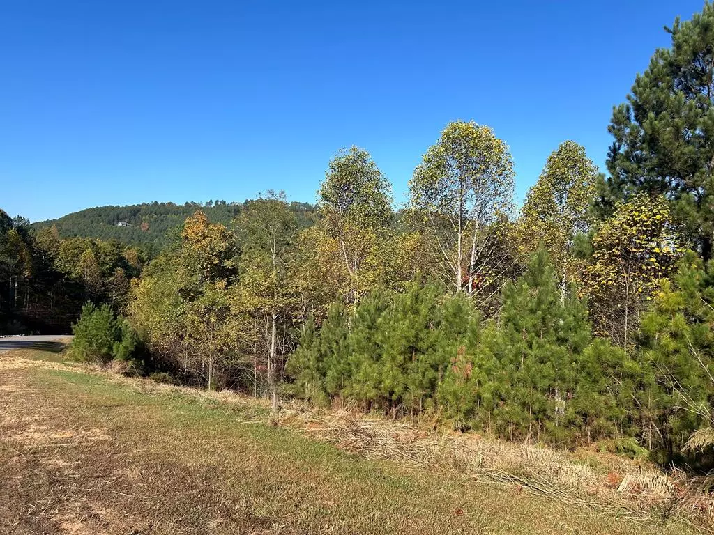 Blairsville, GA 30512,Lot 379 Marshall Rise Road