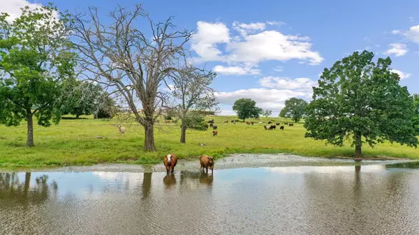 Greenville, TX 75401,546 Twisted L Ranch Road